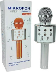 W&K Microphone