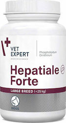 VetExpert Hepatiale Forte Dietary Supplement for Dogs and Cats in Tablets 40 tabs for Liver