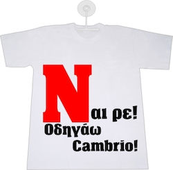 Drive Cambrio! "N" New Driver Sign