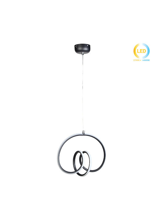 Globobox Pendant Light LED Black