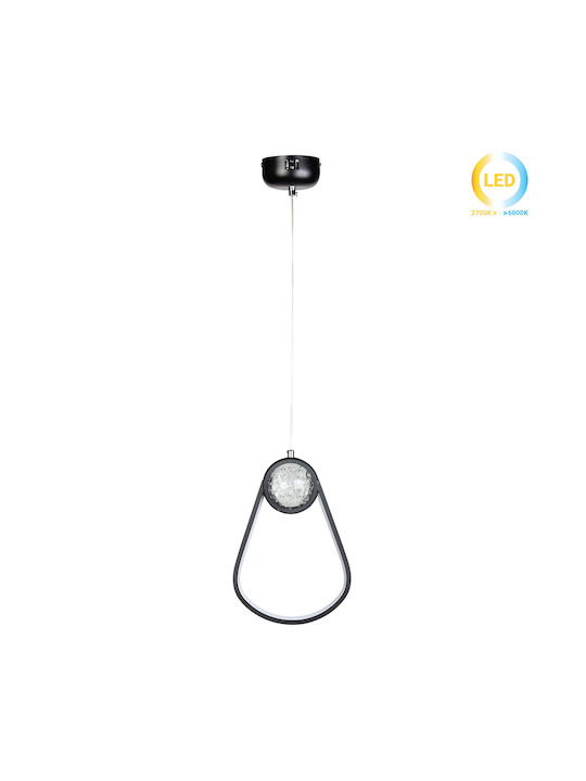 Globobox Pendant Light Black Ball 20x7x30cm