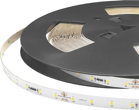 Cubalux Ταινία LED Jazz 24V Φυσικό Λευκό Φως 5m