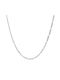 Paraxenies Silver Chain Neck