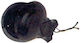 Pakistan N.376 Plastic