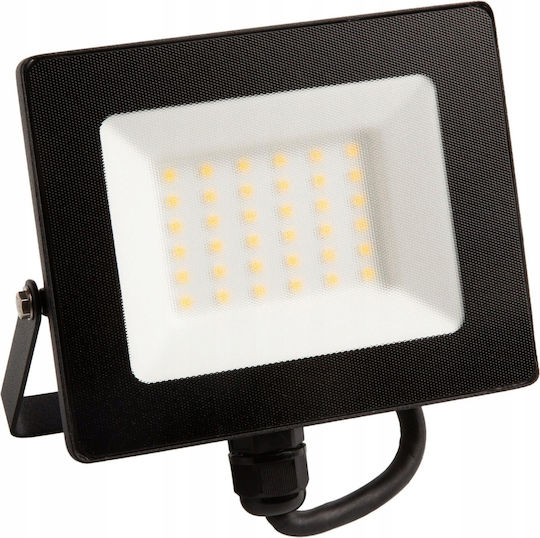Eco Light Στεγανός Προβολέας LED 30W Φυσικό Λευκό 4000K IP65