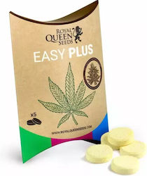 Royal Queen Seeds Seeds Cannabis