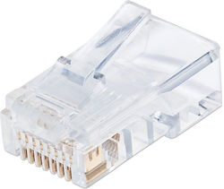 Techly 028900 RJ-45 Stecker 100 Stück