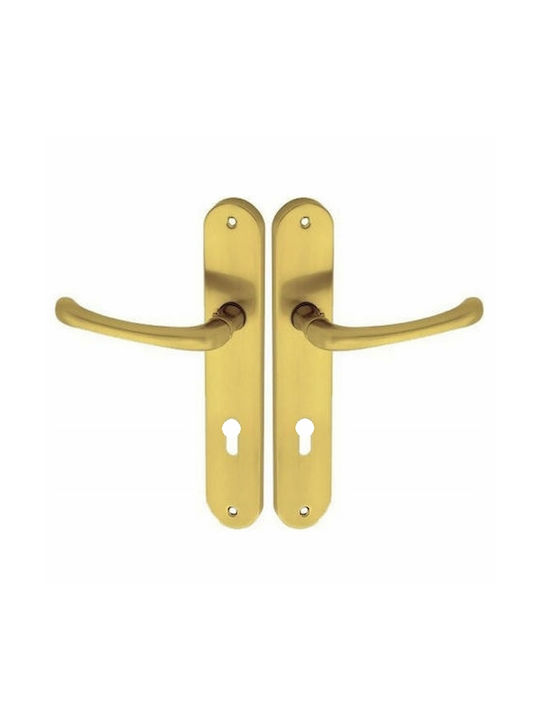 Import Hellas Lever Front Door with Plate 215 36-0222 Pair Gold matte