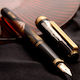 Platinum Writing Pen Fine Red with Blue Ink