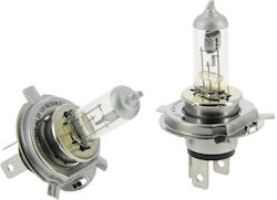 Michelin Power+80 Lamps H4 Halogen 2pcs
