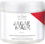 Farmona Algae Face Mask 500ml