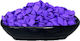 Panora "glyky Mou Ear" Magnolia Incense 100gr