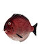 Bordallo Pinheiro Fish Teller Untiefe Keramik Rot mit Durchmesser 27.5cm