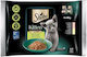 Sheba Wet Food for Young Cats in Pouches with Chicken, Salmon, Poultry and Turkey 85gr