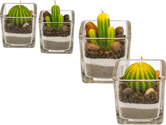 Aromatische Beigen (Verschiedene Designs)