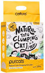 Cature Pure Tofu Clumping Cat Litter Milky Scent 6lt (2.4kg)