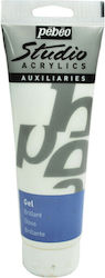 Pebeo Special Craft Paints 100ml Pebeo Special Craft Paints 100ml