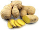 Bio Samos Organic Ginger Essential Oil 10ml