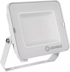 Ledvance Floodlight Στεγανός Προβολέας LED 50W ...