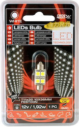 Racesport Lampe C5W / T11 LED Weiß