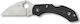 Spyderco Dragonfly 2 Pocket Knife Black