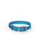 Glee Hundehalsband in Türkis Farbe Klein 16mm x 41cm
