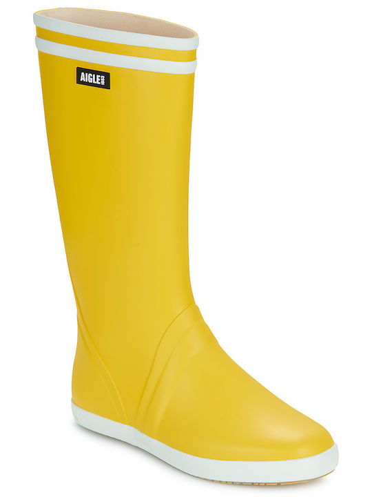 Aigle Goeland 2
