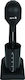 Arielli Milk Frother Tabletop Black