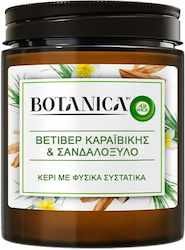 Airwick Botanica Aromatic Jar Caribbean Vetiver & Sandalwood