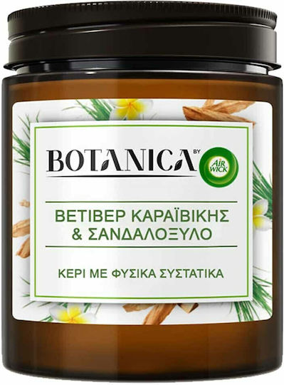 Airwick Botanica Aromatische Kerze im Gefäß Karibisches Vetiver & Sandelholz Airwick Botanica Aromatische Kerze im Gefäß Karibisches Vetiver & Sandelholz