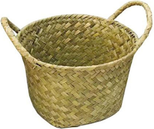 Next 35549 2 Wicker