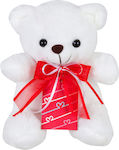 Plush Bear 20 cm