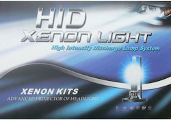 Beltec Audio Car Xenon Kit H7 CAN Bus 35W 12V