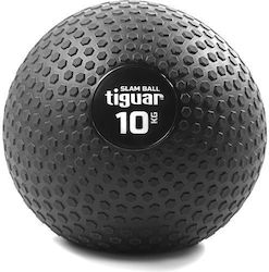 Tiguar Exercise Ball Slam 10kg in Gri Color