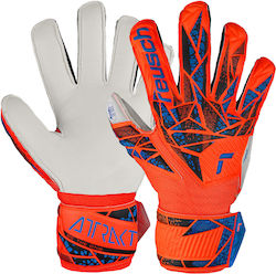 Reusch Attrakt Solid Finger Support Γάντια Τερματοφύλακα Παιδικά Reusch Attrakt Solid Finger Support Γάντια Τερματοφύλακα Παιδικά