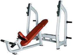 Luxury H-025 Incline Workout Bench