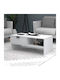Rectangular Central Coffee Table Galaxy Wooden White L100xW50xH42cm