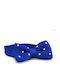 Fliege Blau