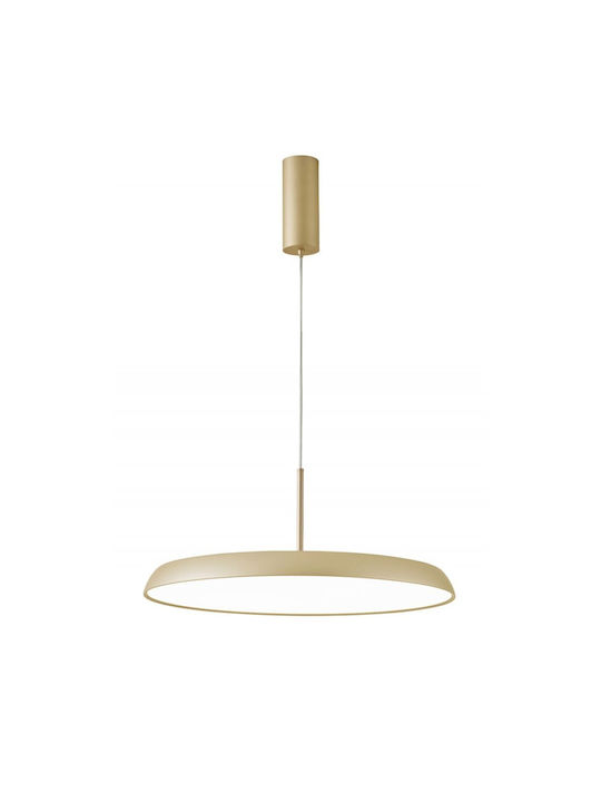 Viokef Pendant Light Single-Light Rail