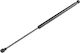 NTY Trunk Shock for Volvo C30