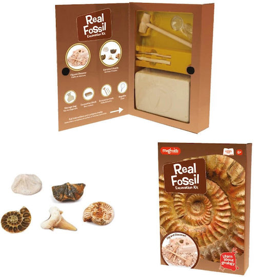 Keycraft Discover Fossils Discover Fossils Discover Fossils, +6 Years Joc Educațional de Cunoștințe pentru 6+ ani Ani