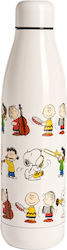 QuyCup Bottle Thermos Stainless Steel 500ml Pea...