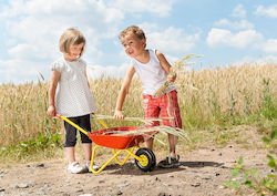 Rolly Toys Garden Toy