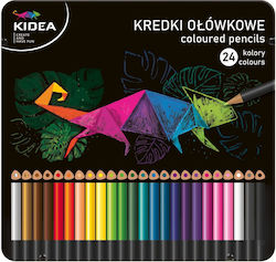 Derform Coloured Pencils Set 24 Colours Derform Coloured Pencils Set 24 Colours