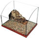 Pet Hellas Acvariu de sticlă pentru broaște țestoase Insulă 40cm Teren pentru reptile 40x30x27.5cm