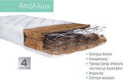 Bebe Strom Orthopedic Mattress Crib Apollon wit...