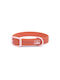 Unicord Hundehalsband in Rosa Farbe Klein 20mm