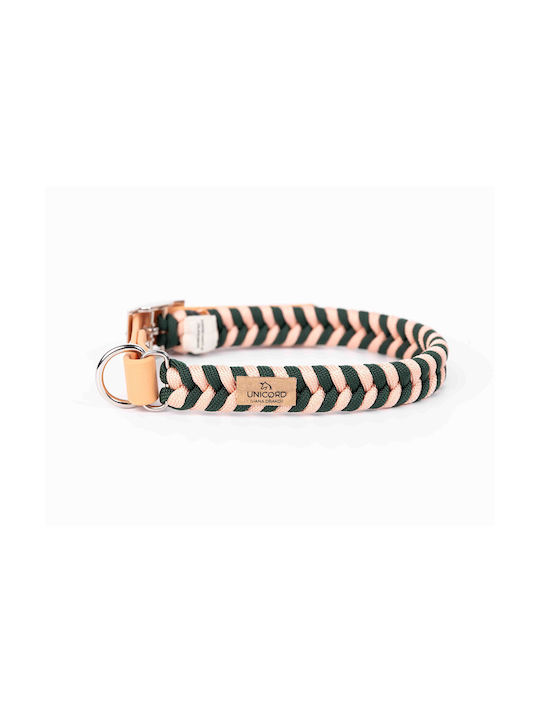 Unicord Hundehalsband in Orange Farbe Mittel 20mm