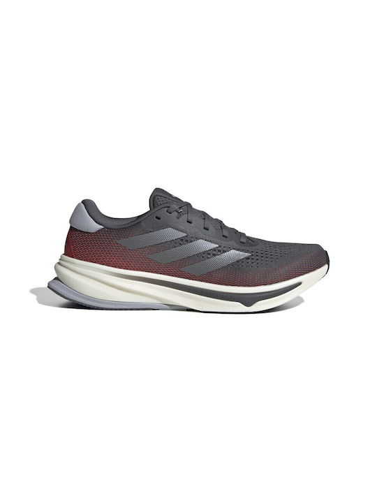 Adidas Supernova Rise Bărbați Pantofi sport Alergare Gri