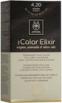 Apivita My Color Elixir Σετ Βαφή Μαλλιών Χωρίς Αμμωνία 4.20 Καστανό Βιολετί 125ml